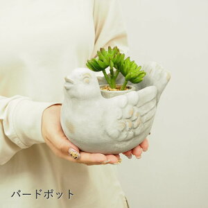 Aؔ RbR|bg 1738 o[h|bg 1739 cY v^[ |bg Zg|bg  ꌊ  | ƒ؉ K[fjO Ԓd K[f  񂹐A A    o[h C