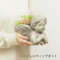 楽天市場】エンジェル プランターの通販
