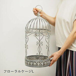 yyz v^[ t[P[W S 6156 L 6155 cY vgz_[ t[X^h ԑ nMOv^[   | ACA K[fjO K[f  񂹐A