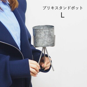 yyz uL v^[ X^h K[fjO G  uLX^h|bg S 40006 L 40007 cY Aؔ  O  y  킢 v^[X^h |bg ~j