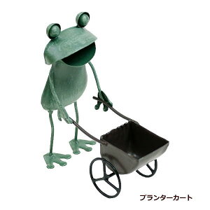 yyz JG u 킢 ^tbOQ JGjÂ JGv^[J[gJGQ 4132 4280 4816 4879 cY JGObY uL K[f    IuWF 