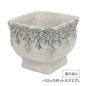 yyz v^[ obN|bgXNGAL 1955 cY Aؔ t[|bg Zg|bg  ꌊ  | ƒ؉ K[fjO Ԓd K[f  A   Ce