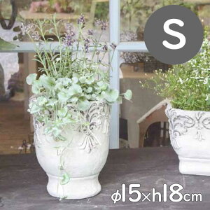 yyz v^[ obN|bgXS 1950 cY Aؔ t[|bg Zg|bg  ꌊ  | ƒ؉ K[fjO Ԓd K[f  A   CeA