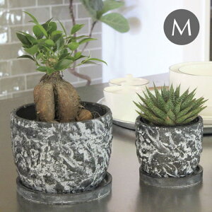 yyz Aؔ ubNXg[|bgM 1918 cY v^[  |bg ꌊ  K[fjO 󂯎Mt Zg Zg|bg Jo[ A؃Jo[ 񂹐A CeA