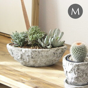 yyz Aؔ MbhXg[|bgI[oM 1912 cY v^[ K[fjO  |bg ꌊ  Zg Zg|bg I[o Jo[ A؃Jo[ 񂹐A C