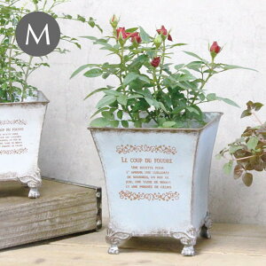 yyz v^[ JuI[|bg u[M 5639 cY Jo[ K[fjO Jo[ A؃Jo[ 񂹐A t[|bg  |bg ꌊ uL CeA I[ig 