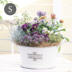 【あす楽】 プランター おしゃれ カバー ラウンドティンプランターSホワイト 5673 村田屋産業 ガーデニング 鉢カバー 植木カバー 寄せ植え フラワーポット 鉢 ポット ブリキ インテリア オーナメント 園芸 花 ハーブ 多肉 植物 かわいい