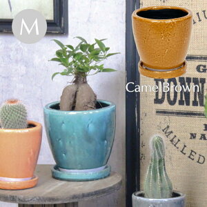 ySALEzyyz Aؔ LI|bgM/CamelBrown LuE 1709 cY v^[ K[fjO  |bg ꌊ  󂯎Mt J[|bg  ϔ eRb^ J