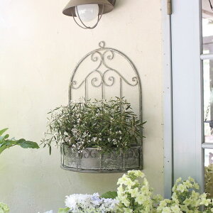 yyz v^[  Ǌ| ϗtA O  x_ Vr[EH[Ehv^[ 6077 cY K[fI[ig t[|bg EH[v^[ K[