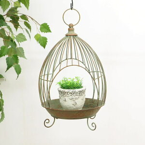 yyz K[fjO t[o[htB[_[ 6041 cY t[X^h ACA  ԑ u  O o[htB[_[  a  ϗtA Jo[ ݂艺 