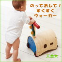 おもちゃ 木のおもちゃ かたはめ 押し車 エドインターの木製玩具 ベビー 1歳 男の子 女の子 誕生日 プレゼント ギフト 木製【ギアウォーカー＆プッシャー】【... ランキングお取り寄せ