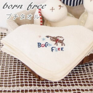 yyz ~j^I ^I xr[ v`^I rZ 2712-WTDO 2712-0050 Ԃ j̎q ̎q 킢 v` ~j nJ` pC K[[  Rbg hJ oY j xr[Mtg  