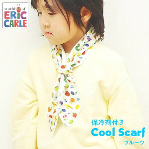 yoׁz N[ lbN LbYN[XJ[t ͂؂ނ t[c Tt@ hbg L[u N-250213FRU N-250214SAF N-250215DOT N-250216CUB RREH[N COCO WALK ^I  lbNN[[ 