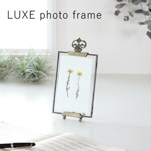 yyztHgt[yLUXE C[[tHgt[ Ng DRDS2380 XpCXzʐ^ ʐ^ C[[ KX KXt[ tHgX^h z ʐ^ t[  Mtg LOi 