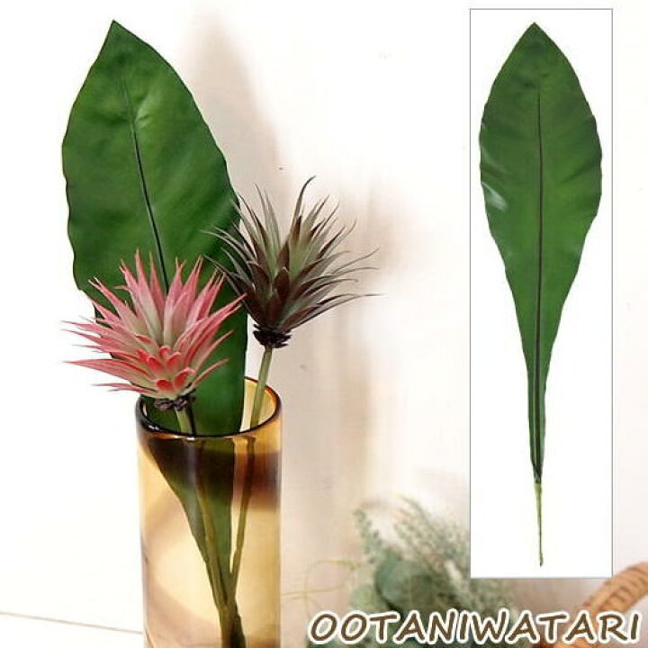 楽天市場 即出荷 オオタニワタリ アートフラワー フェイクグリーン 造花 インテリア 雑貨 花 インテリアグリーン オブジェ フェイク フラワー 飾り ディスプレイ アートグリーン 定形外郵便ｏｋ ピクニックと雑貨のスイートピー