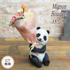 yyz ̓ v[g Mtg p_ CT~ju[P 㕥  킢 ObY ObY ` 60 50 ԑ  hV̓ a j u[P   A ϗtA