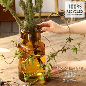 yyz ԕr yVALENCIA TCNKX t[x[X SEIS VGGN1060 XpCXz t[x[X KX k  傫 傫 {g CeA u G Ԋ  ֑} 