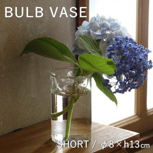 yyz oux[X V[g 13cm k͔| |bg e yBULB VASE ͔|KXx[X NA V[g KEGY4060SW SOWz ԕr ֑} ͔| KXx[X t[x[X   V