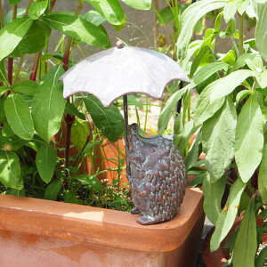 yyz u AuwbWzbO 6280 cY  IuWF CeA ACA K[fI[ig nlY~ ObY G 킢 fBXvC Aj}  K[