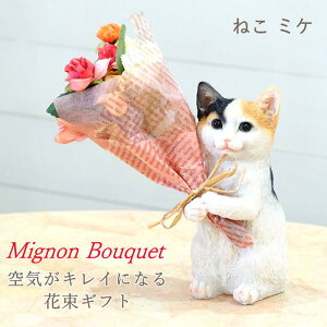 yyz e a v[g Mtg LD av[g  ̓ L ObY  G u L DɊ΂ L D   g n` A 70 60 ԑ 