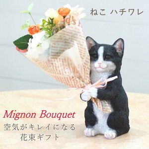 yyz e a v[g Mtg LD av[g  ̓ L ObY  G u L DɊ΂ L D   g n` A 70 60 ԑ 