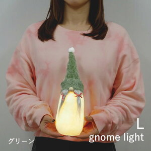 yyz NX}X I[ig  yXmas tFg ۂۂ惉Cg m[ bh O[ LTCY SOWz  u m[ l LED CeA 킢   IuWF k 