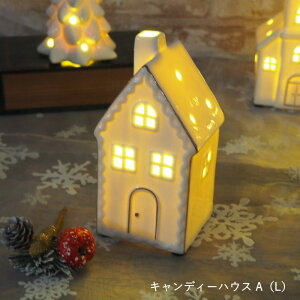 yyz NX}X led u nEX  LEDZ~bNnEX VFu 4009625-02 LfB[nEX A 4009626-02 ۘaf IuWF k CeA G u   Cg dr 