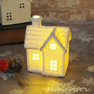 yyz NX}X led u nEX  LEDZ~bNnEX LfB[nEX B 4009627-02 C 4009628-02 ۘaf IuWF k CeA G u   Cg dr  I[