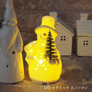 yyz NX}X led u  LEDZ~bN T^ 4009632-01 Xm[} 4009632-02 ۘaf IuWF k CeA G u   T^N[X Cg dr  I[i