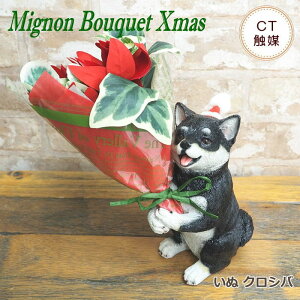 yyz NX}X  Mtg CT~j NX}Xu[P 4208412 4208673 CT~ju[P  ETM ˂ lR L  Ck p_ ϗtA IuWF u |CZ`A v[