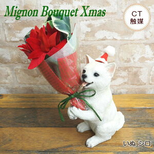 yyz NX}X  Mtg CT~j NX}Xu[P 4208412 4208673 CT~ju[P  ETM ˂ lR L  Ck p_ ϗtA IuWF u |CZ`A v[