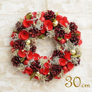 yyz NX}X[X OCX[X [YGR30 4009163-03 ۘaf NX}X  [X 30cm I[ig NX}XG CeA   k i`   