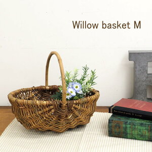 yyz  tAW 3621 cY oXPbg  [  [pi [oXPbg  CeA 킢  i` t Ԋ A AW 