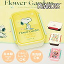 【あす楽】 弁当箱 ピーナッツ ランチボックス SLL-1500 SLL-1501 大西賢製販 お弁当箱 1段 レンジ対応 食洗機対応 電子レンジ 対応 500ml ランチグッズ 日本製 かわいい 大人 女子 子供 キッズ 小学生 中学生 高校生 キャラクター スヌーピー snoopy おしゃれ 通勤 通学