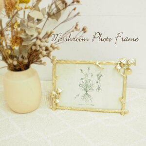 yyz Lhz_[ tHgt[ }bV[؂芔Lhz_[ DRDF2001 }bV[Lhz_[ DRDF2002 }bV[tHgt[ DRDF2003 SOW L