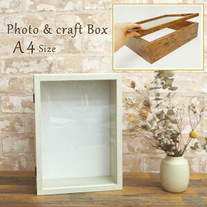 yyz tHgt[ ʐ^ Ntg{bNX A4 I[v^Cv 4009602-01 4009602-02 ۘaf P[X v[g  j DIY  ʐ^ tHgX^h z ʐ^t[ 