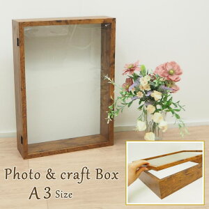 yyz tHgt[ ʐ^ Ntg{bNX A3 I[v^Cv 4009603-01 4009603-02 ۘaf P[X v[g  j DIY  ʐ^ tHgX^h z ʐ^t[ 