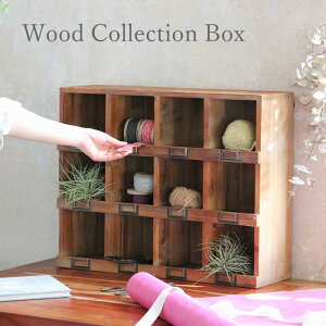 yyz [ yEbhRNV{bNX DTDT5530 XpCXz I[vbN I  Ƌ VFt bN fBXvCbN  I Ǌ|  CeA fBXv