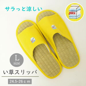 yyz Xbp ėp |CghJXbp LTCY 41-1079 I[u     Xbp  Y fB[X ݃Xbp  OJ [V[Y R 