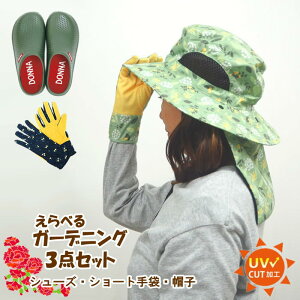 yyz K[fjO3_MtgZbg ̓ v[g Mtg d K[fO[u  K[fjOXq nbg Xq UV ΍L Rt K[fV[Y T_ T{ Xb