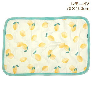 yyz Jo[ ⊴ pbh 45×65cm 787827-BL gh toridori tYq s[P[X ~pbh ėp Ђ ⊴ N[ ybg}bg Q  􂦂 ڐG⊴ ΍ L 