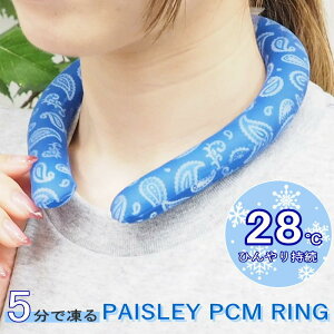 yyz lbNN[[ PAISLEY PCMOM A549 S lbNO N[O ACXO PCM O Ђ 28 p ⊴  N[ ACX ObY M ΍   