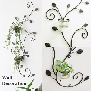 yyz Ǐ EH[fRLh_u 6507 cY Ǌ| EH[fR ACA AeB[N  킢  CeA EH[fR[V EH[fBX