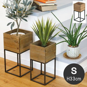 yyzySTCYz v^[ ACAX^hEbh{bNXS 5427 cY X^h ؐ ACA Ebh ԑ t[X^h CeA ϗtA O[ fBXvC A