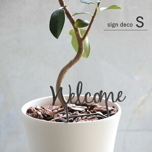 yyz u TCfR ACA Welcome ubN S DTDT2451BK XpCX EFJ  EFJv[g EFJX^h  킢 IuWF fBXvC   