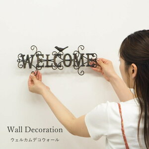 yyz Ǐ EFJfREH[ 6278 cY  Ǌ| EH[fR ACA  I[ig welcome CeA EH[fR[V IuWF G   A