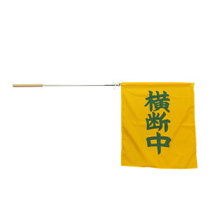 ʈS^p wp  f w  P2101 ifE@nj 450×500mm(Lk_740`1130mm) 1{ yZ064zyЍ݌ɕiBz