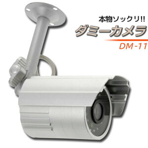 ダミーカメラ 防犯カメラそっくり DM-11 07-4889 オーム電機