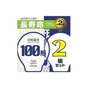  ATq VJd Md  2000 2  E26 100V 100W zCgVJ@ ʓdbLW100V95W/60LL2P 16-4101