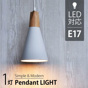 y_gCg 1 Ɩ Cg led dΉ VƖ _CjO Lb` Op i` E17 zCg dʔbLT-YN117AW-W 06-1463 OHM I[d@